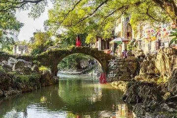 药食同源，百病可医