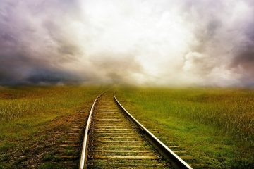 夏日炙热，生命的美好与热情