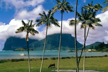 在centos7系统上挂载新的硬盘教程(centos7怎么挂载新硬盘)